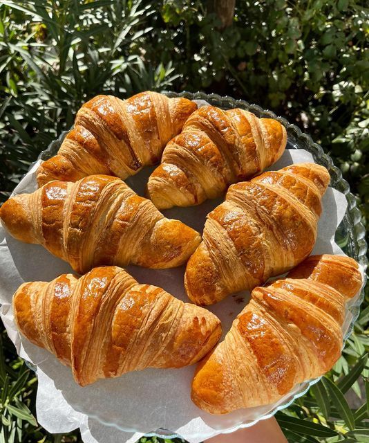 Butter Croissant 