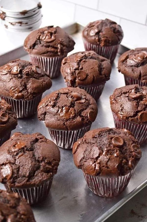 Chocolate Muffins 
