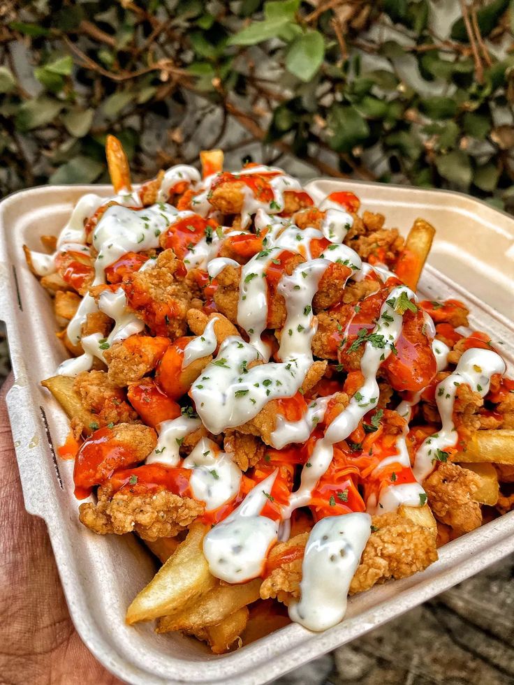 Cripsy Chicken Loaded Fries