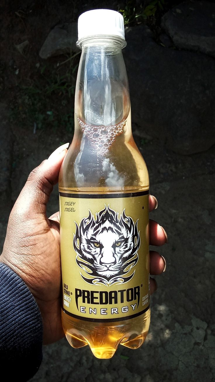Predator
